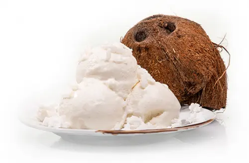 Kókusz VEGÁN Fagylalt XXL